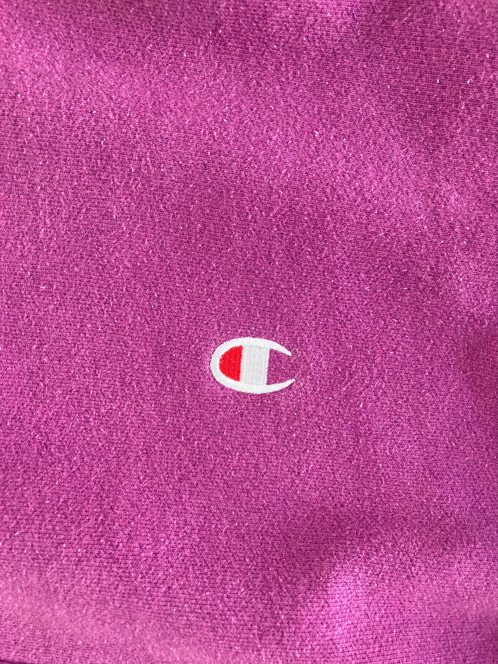 Reverse Weave Champion Hoodie